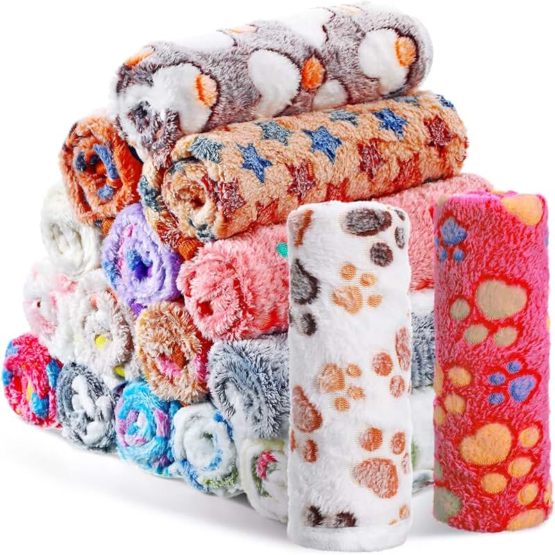 Soft fleece pet blanket with cute prints for dogs and cats