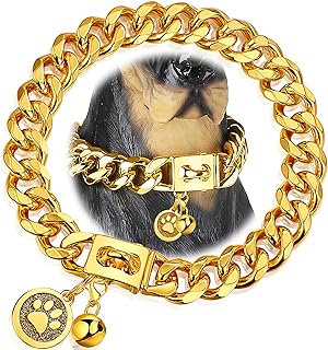 Gold 19mm Metal Dog Chain Collar with Secure Buckle