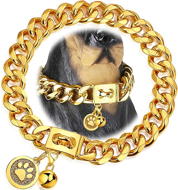 Gold 19mm Metal Dog Chain Collar with Secure Buckle