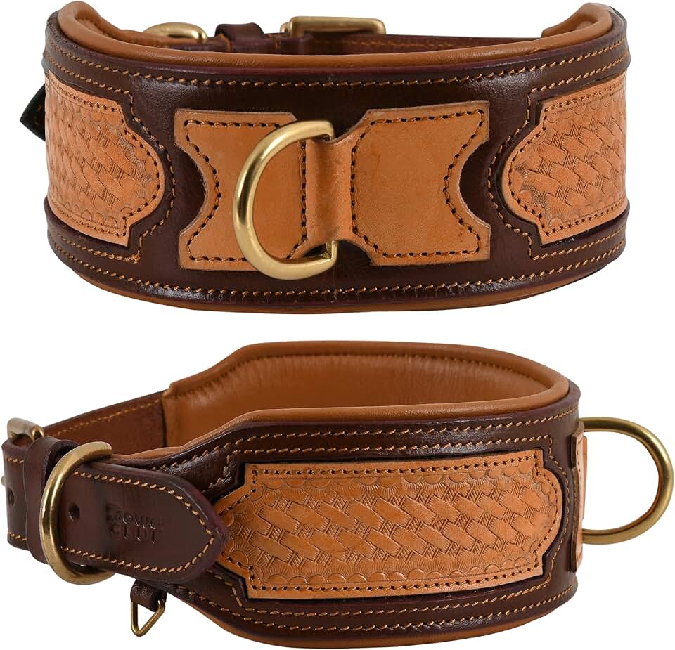 Handmade Western Style Dog Collar with Leather Padding