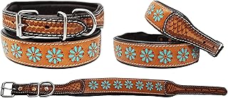 Padded Leather Dog Collar with Floral Design