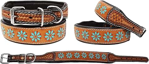 Padded Leather Dog Collar with Floral Design