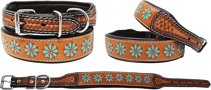 Padded Leather Dog Collar with Floral Design