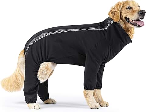 Water-Resistant Dog Suit for Rain and Snow