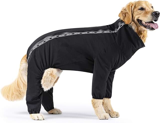 Water-Resistant Dog Suit for Rain and Snow