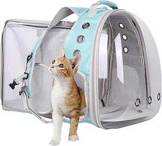Clear Bubble Backpack for Small Pets to Travel and Vet