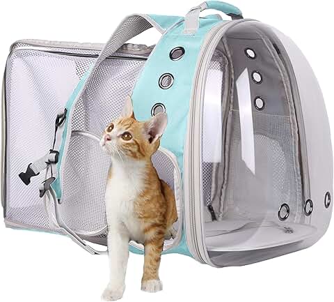 Clear Bubble Backpack for Small Pets to Travel and Vet