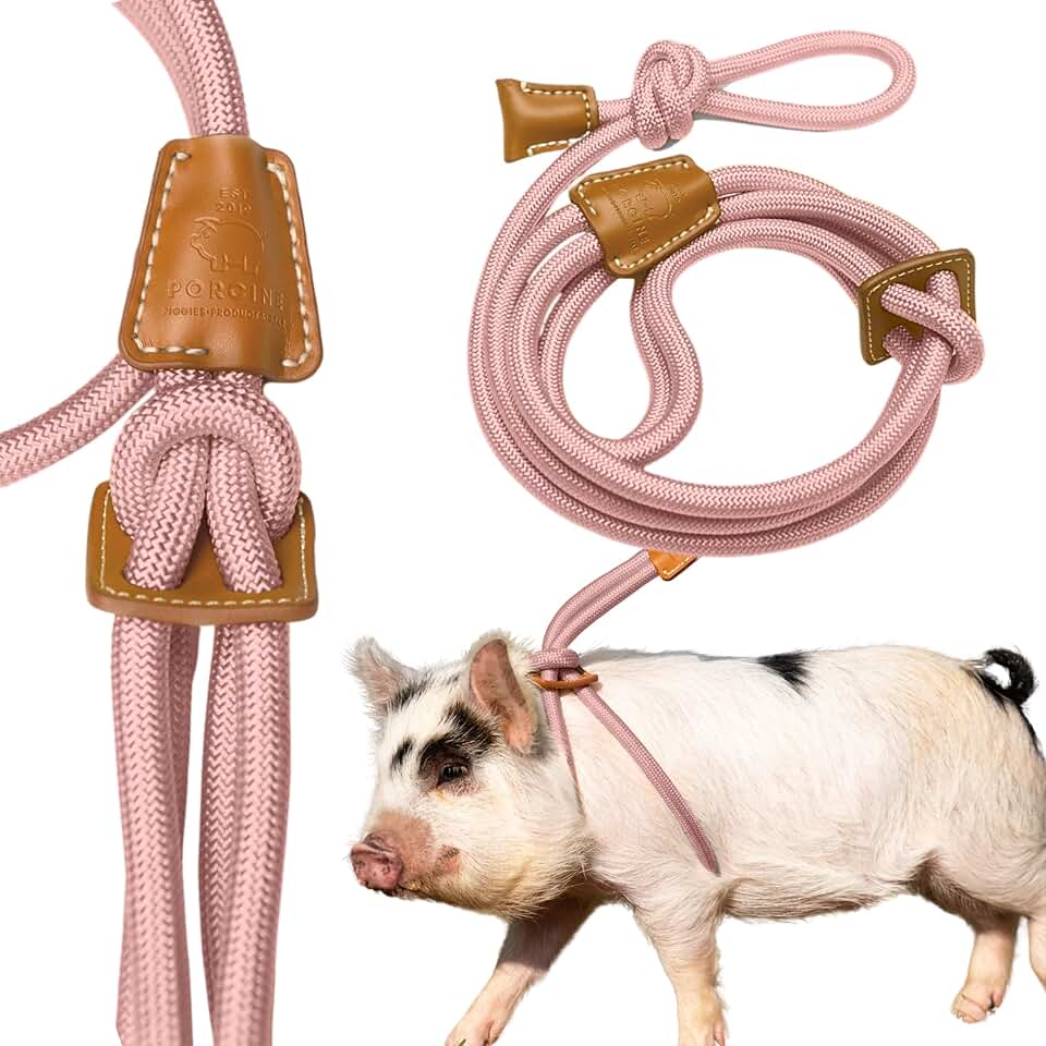 Mini Pig Harness and Leash for Medium and Large Pigs