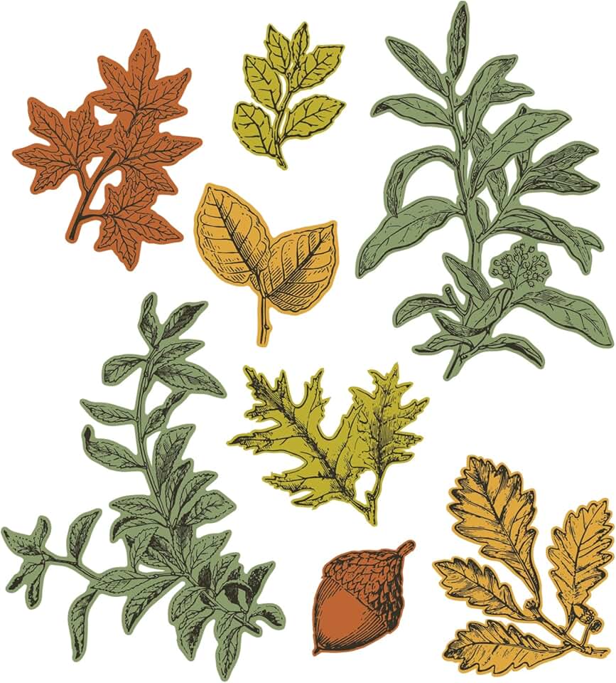 A5 Clear Stamps and Framelits for Forever Leaves