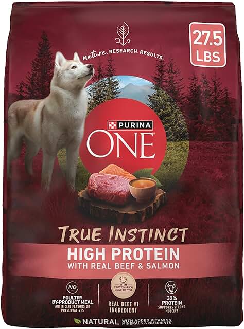 Natural High Protein Dry Dog Food with Beef and Salmon