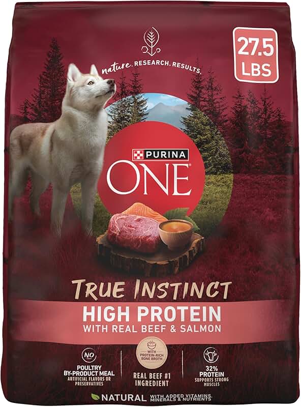 Natural High Protein Dry Dog Food with Beef and Salmon