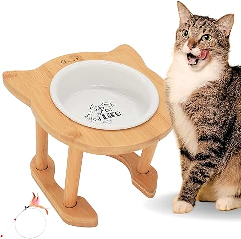Elevated Ceramic Cat Food Bowl with Adjustable Height
