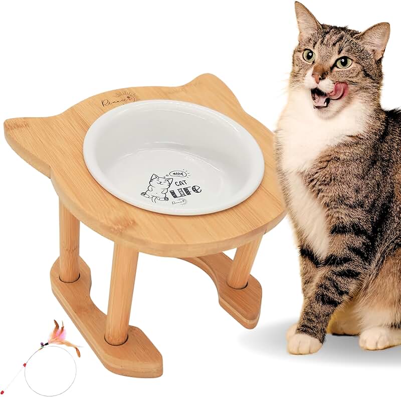 Elevated Ceramic Cat Food Bowl with Adjustable Height
