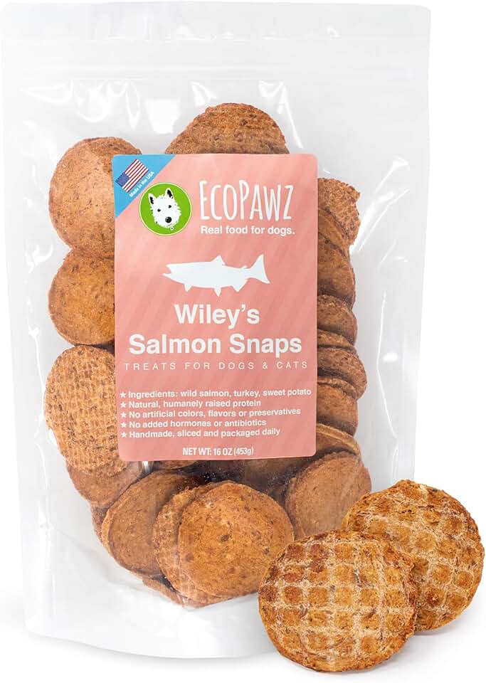 Healthy Salmon Dog Treats Made in the USA