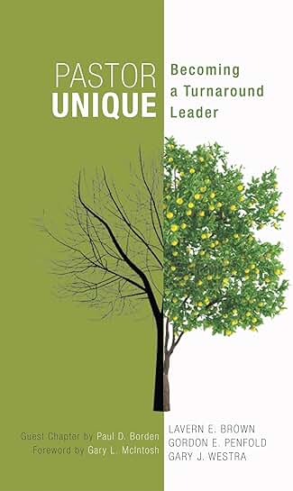 Becoming a Turnaround Leader