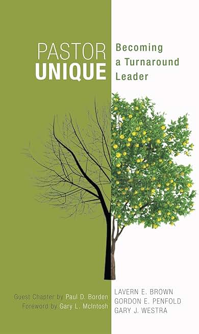 Becoming a Turnaround Leader