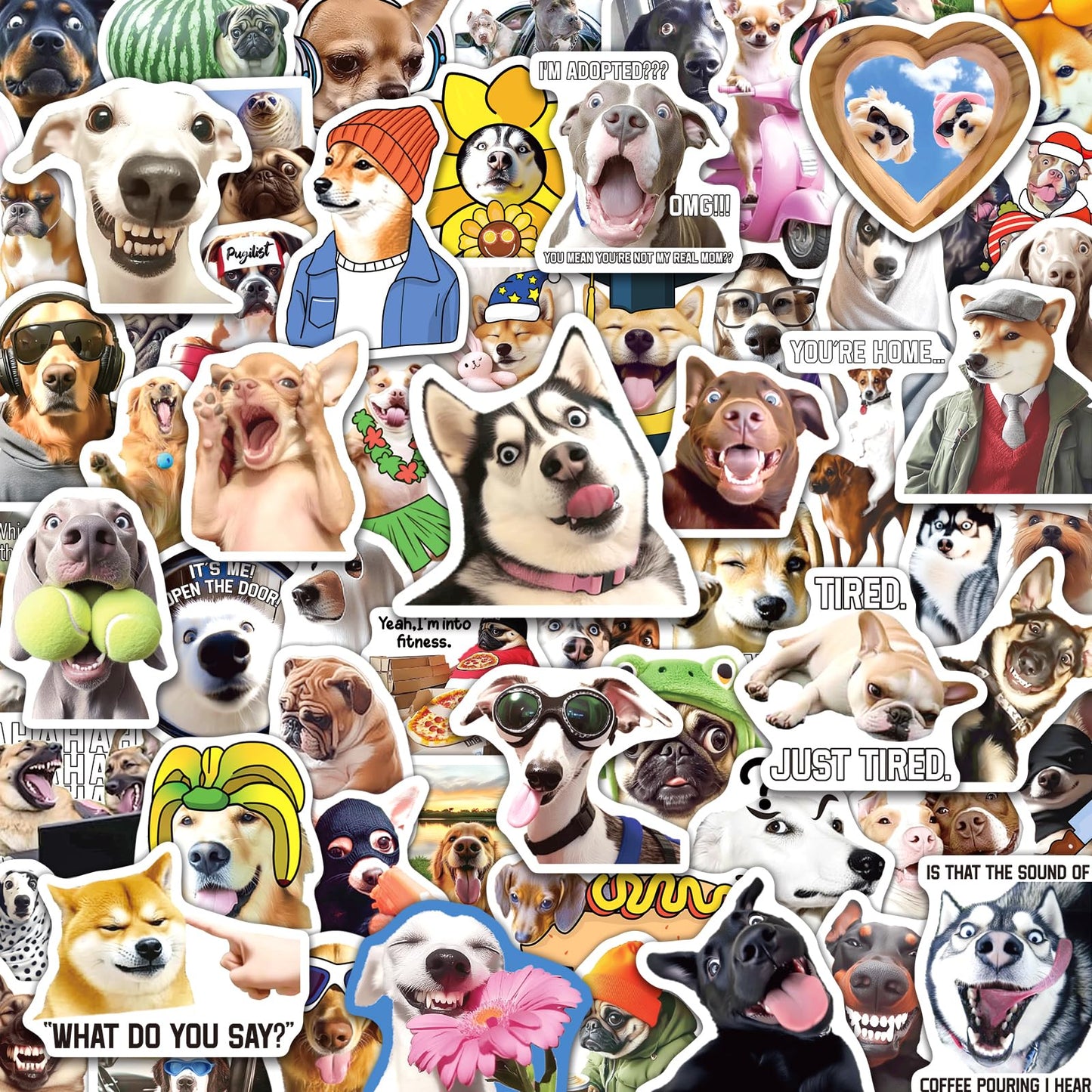 200 Funny Dog Meme Stickers for Laptops and More