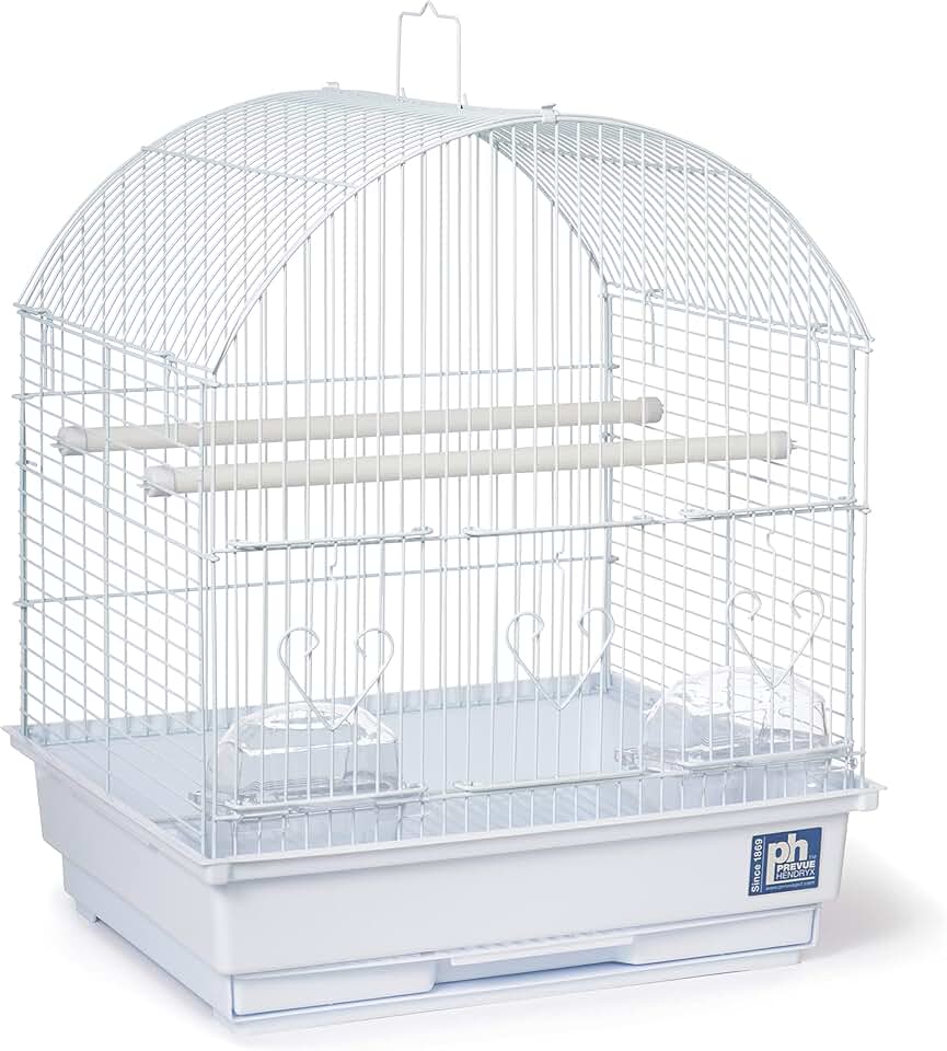 Parakeet Starter Cage Kit with Toys and Perches