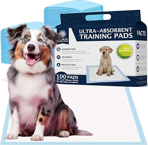 Scented Puppy Training Pads, 22x22, 100 Count