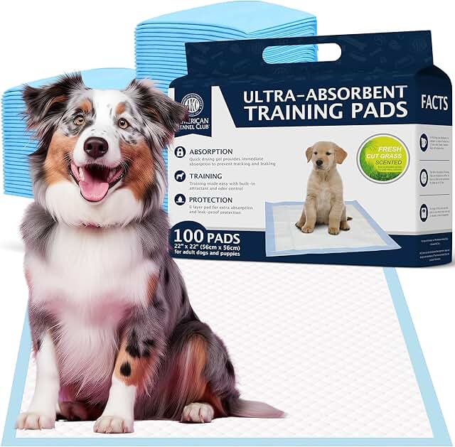 Scented Puppy Training Pads, 22x22, 100 Count