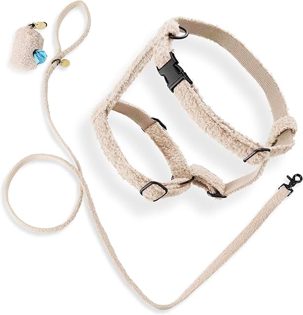 Teddy Medium Bouclé Adjustable H Harness and Leash Set
