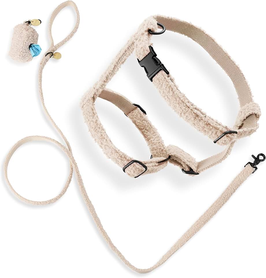 Teddy Medium Bouclé Adjustable H Harness and Leash Set