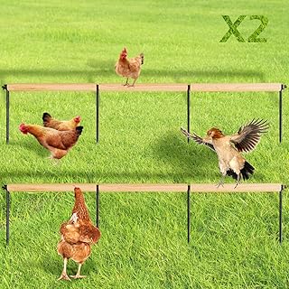 2 Pack Chicken Perch Toys for Roosters and Chicks