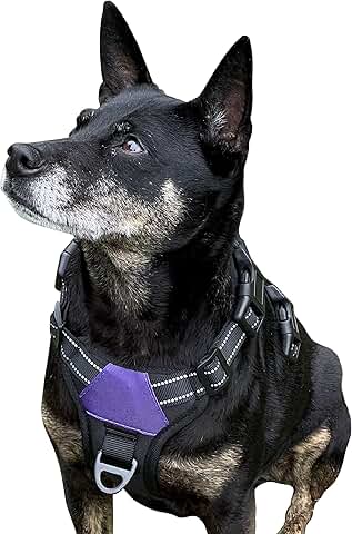 Comfortable, adjustable dog harness for control