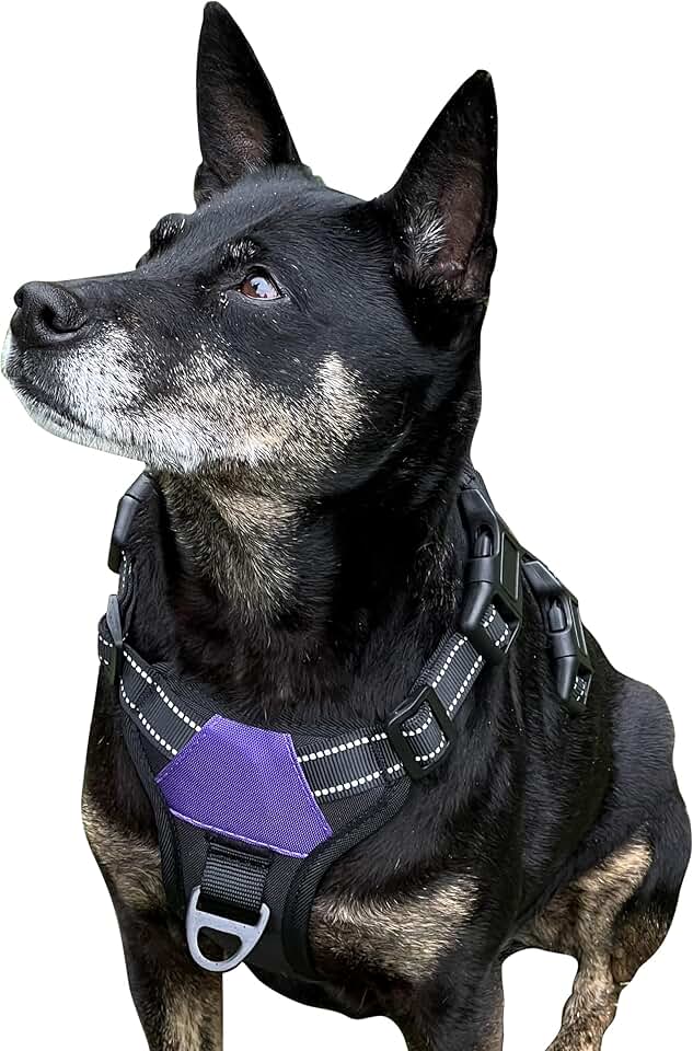 Comfortable, adjustable dog harness for control