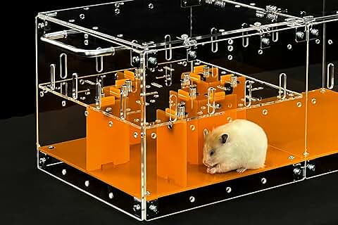 Small Pet Maze for Hamsters and Rodents