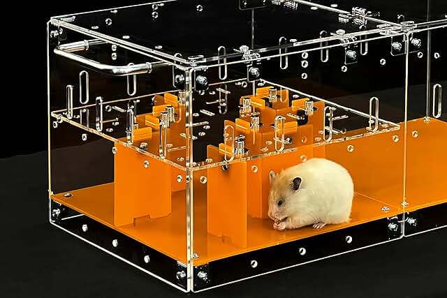 Small Pet Maze for Hamsters and Rodents