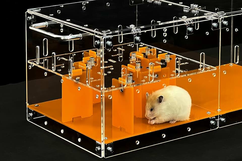 Small Pet Maze for Hamsters and Rodents