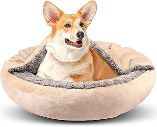 Cozy Hooded Dog Bed with Blanket for Small and Medium Dogs