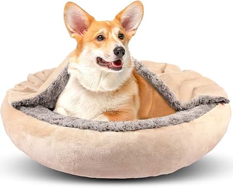 Cozy Hooded Dog Bed with Blanket for Small and Medium Dogs