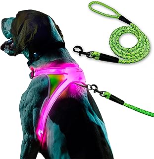Large illuminated and reflective dog harness with LED leash