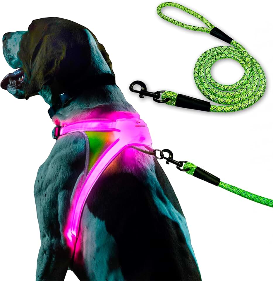Large illuminated and reflective dog harness with LED leash