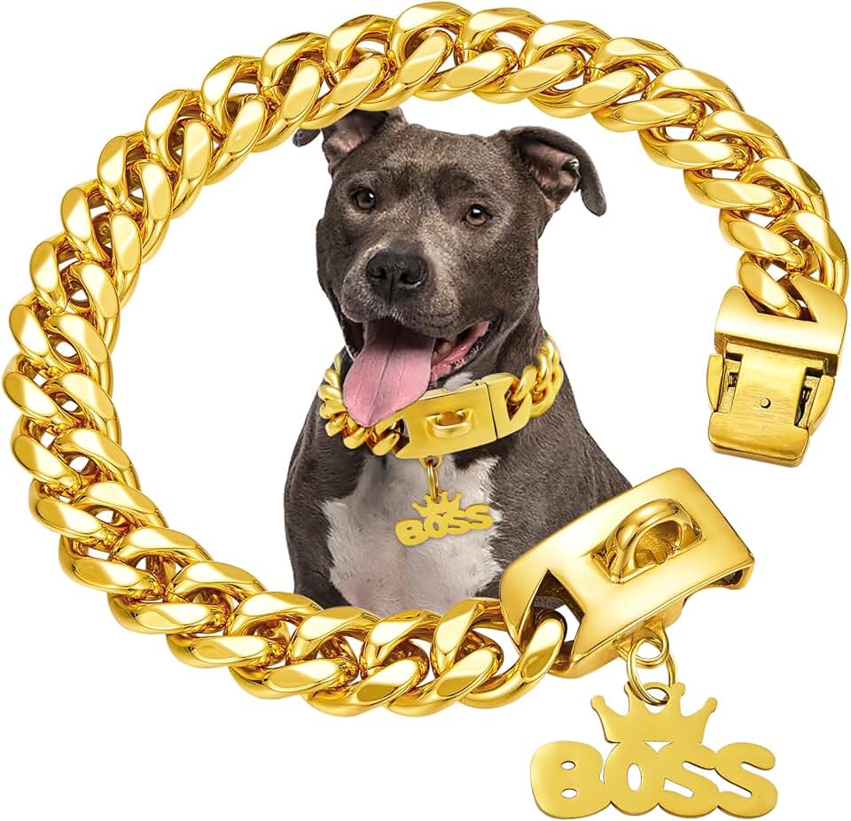 Heavy Duty Gold Dog Collar Chain with Pendant for Medium Large Dogs