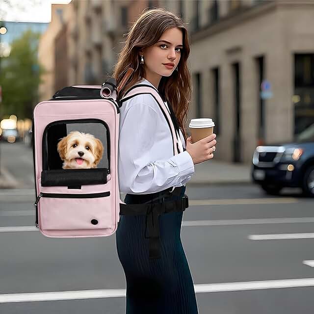 Deluxe Soft-Sided Pet Carrier for Dogs and Cats