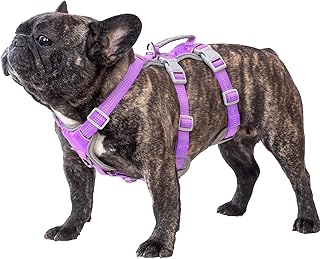 Escape-proof reflective dog harness with padded handle