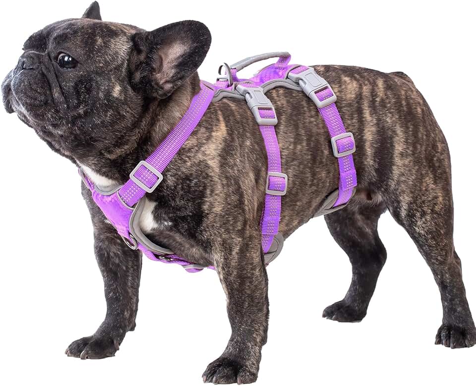 Escape-proof reflective dog harness with padded handle