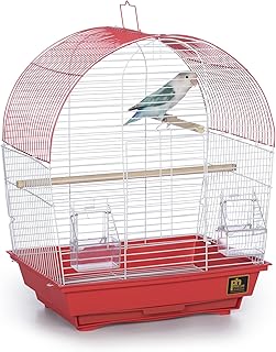 South Beach Dome Top Bird Cage in Coral