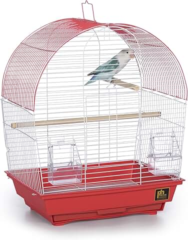 South Beach Dome Top Bird Cage in Coral