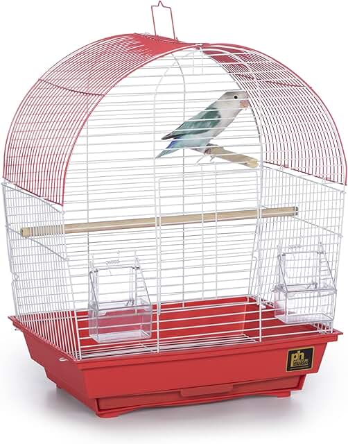 South Beach Dome Top Bird Cage in Coral