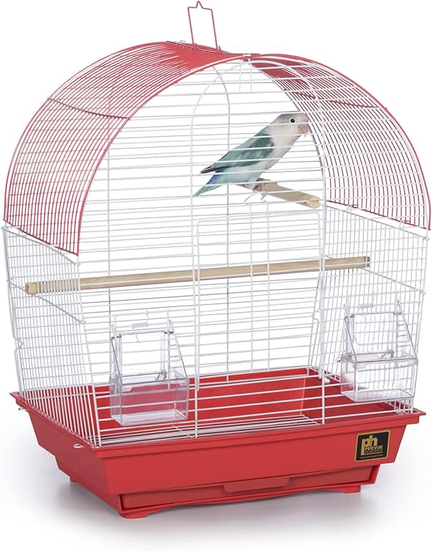 South Beach Dome Top Bird Cage in Coral