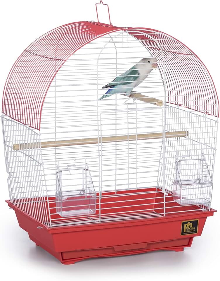 South Beach Dome Top Bird Cage in Coral