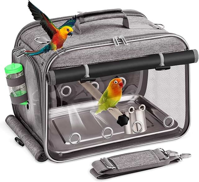 Bird Carrier with Stainless Steel Mesh and Water Bottle