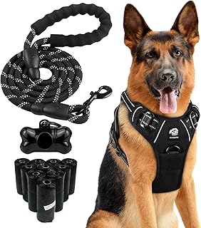Dog Harness and Leash Set with Poop Bags