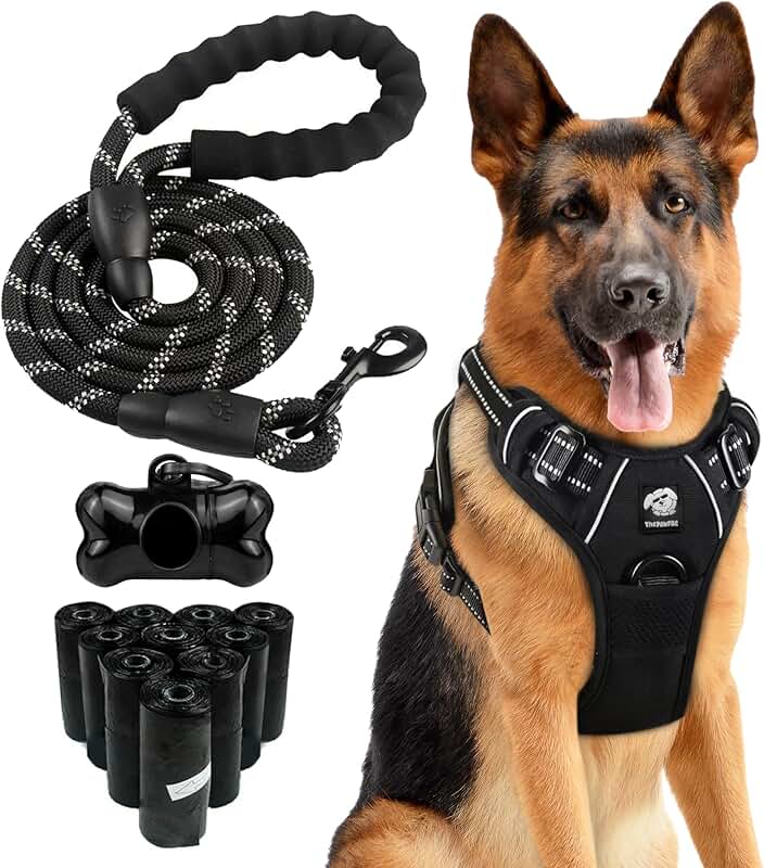 Dog Harness and Leash Set with Poop Bags