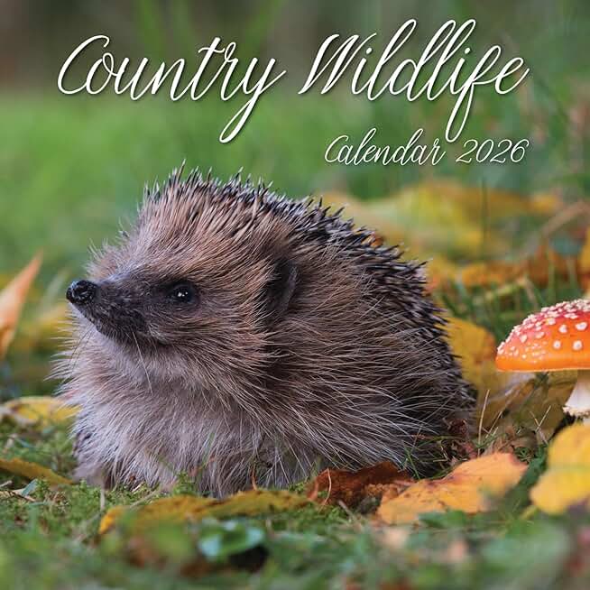 2026 Square Wall Calendar with Wildlife Prints