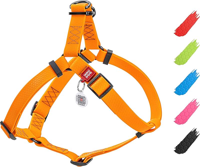 Waterproof Adjustable Dog Harness for All Sizes